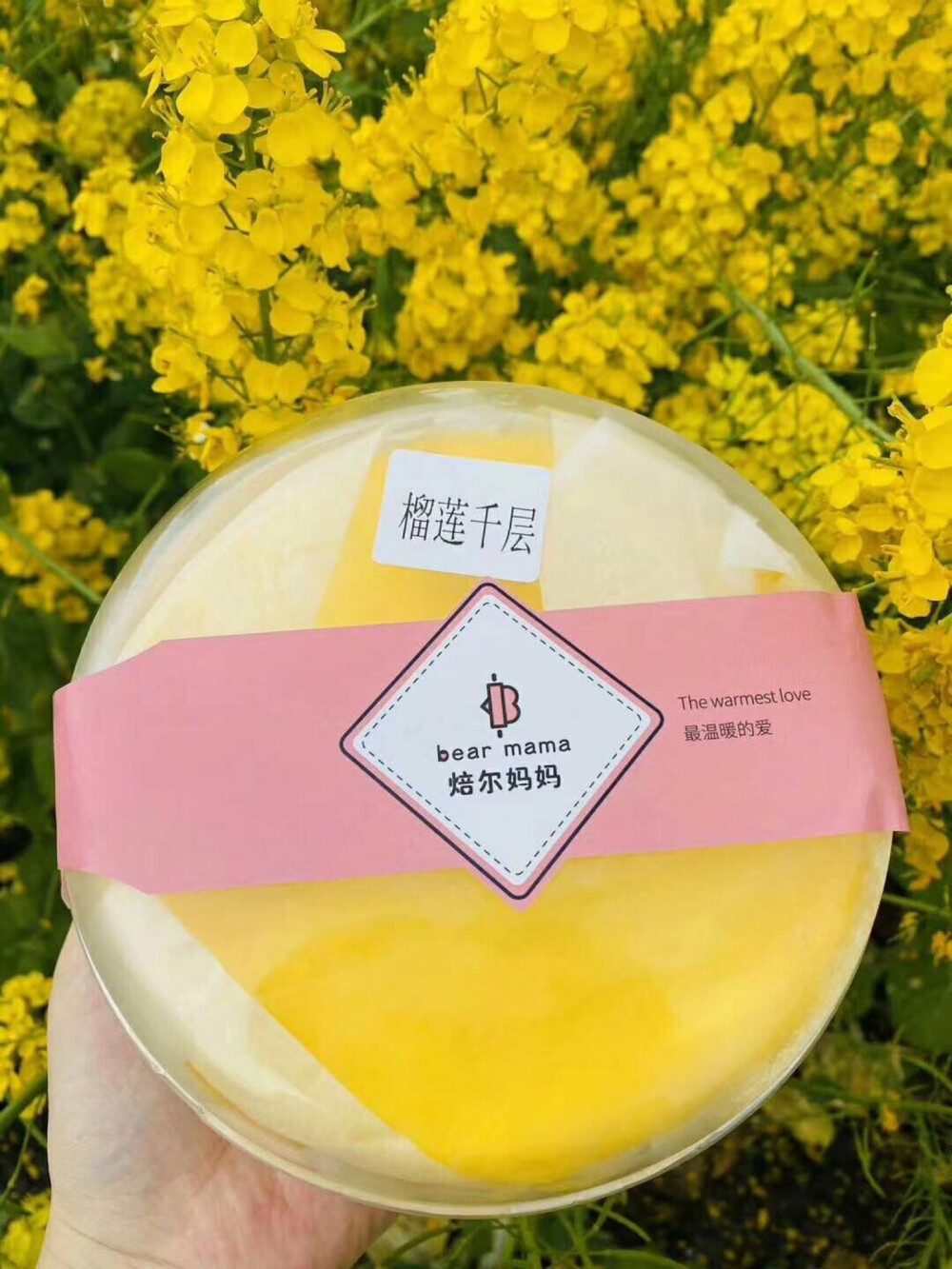 
一颗油菜花
榴莲千层有才华
满满登登三层榴莲肉