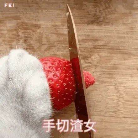 表情包 搞笑 搞怪 猥琐 