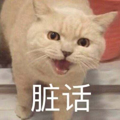 表情包 搞笑 搞怪 猥琐 可爱 圣诞节