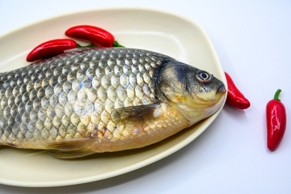 鲫鱼 生物 水生生物 水产品 海产品 鱼类 海鲜 狗杠鱼 推浪鱼 沙逛鱼 地龙鱼 天浪鱼 光鱼 海鱼 新鲜 动物 海洋动物 室内 食材 食物 待加工 烹饪 野生鱼 捕捞 特写 黑色背景 容器 简单背景 白瓷盘 瓷器 整条鱼 饮食 营养丰富 中国 葱 大葱 蒜 大蒜 辣椒 红色 辛辣 佐料 调料
