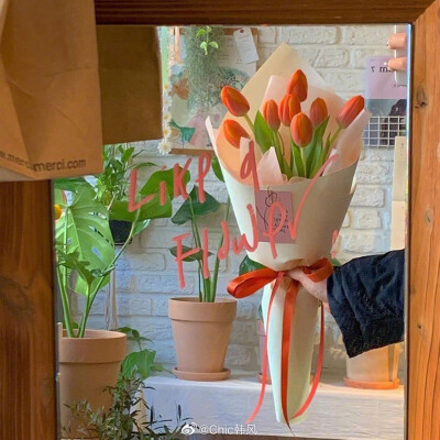 .
Life｜不妨逛逛花店买束鲜花送给自己[鲜花]
慢慢累积让一整天心情变好的小事 ​​​