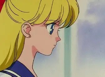 美少女战士 水兵月 木野真琴 美奈子 月野兔 火野玲