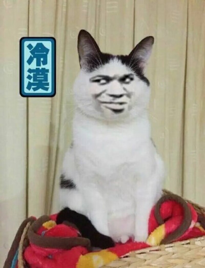 冷漠（猫星人金馆长）