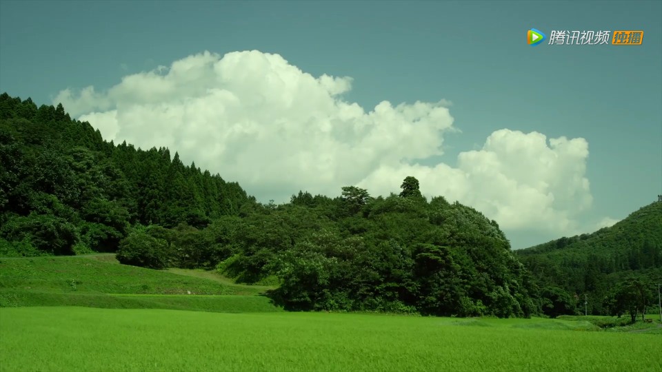 小森林―夏秋篇