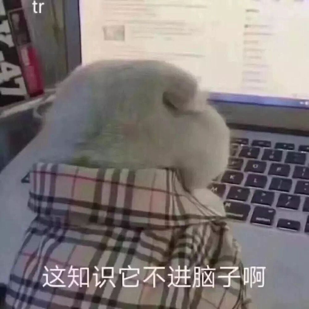 搞笑表情包