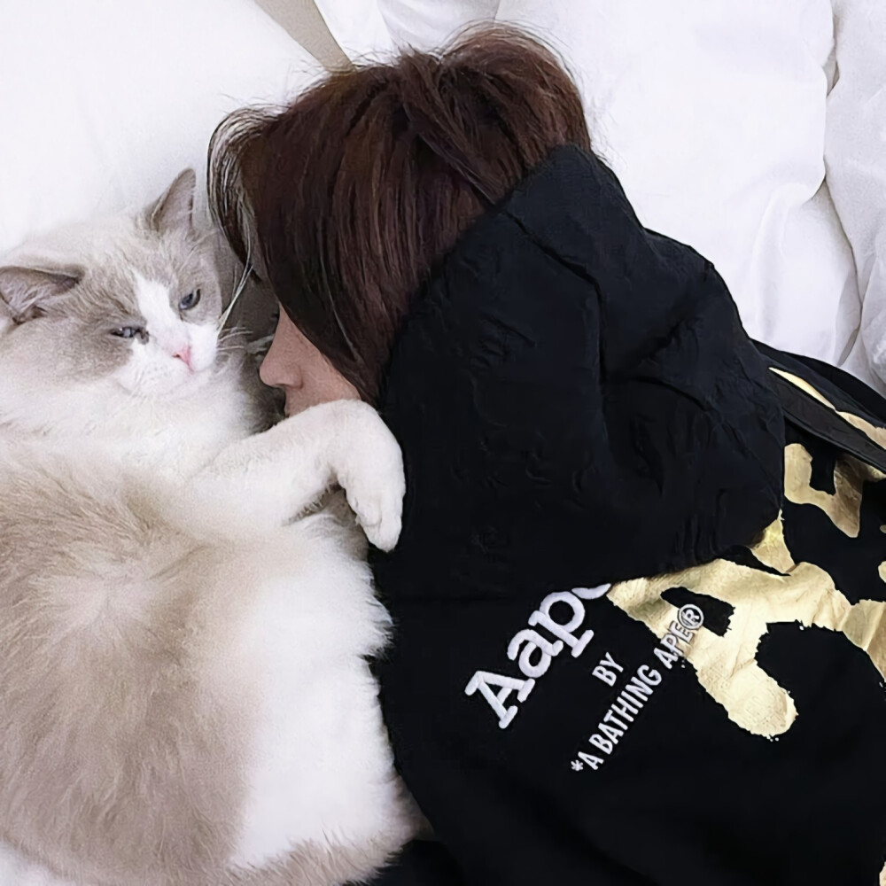 情头二传注明堆糖林煊