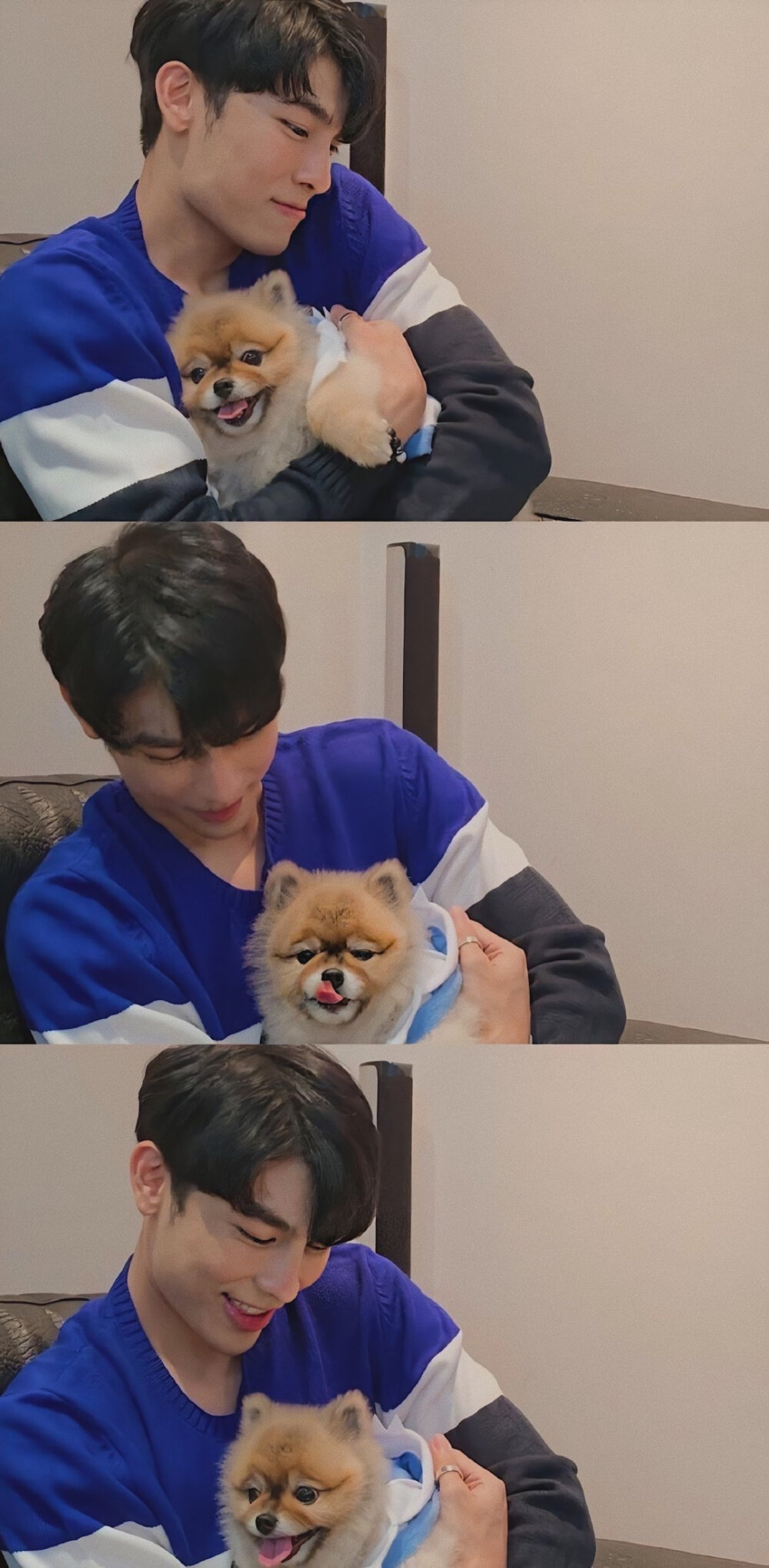 mew gulf
（©微博@小十一LJH）