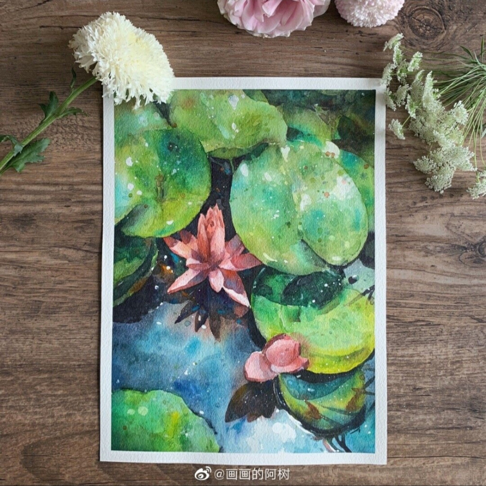 水彩荷花