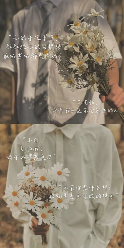 文案壁纸！！！