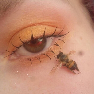 ins风超好看背景图!!♡