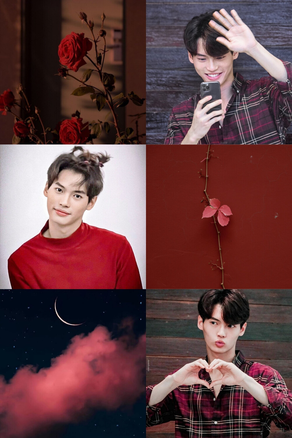 亮仔赢仔（转载）