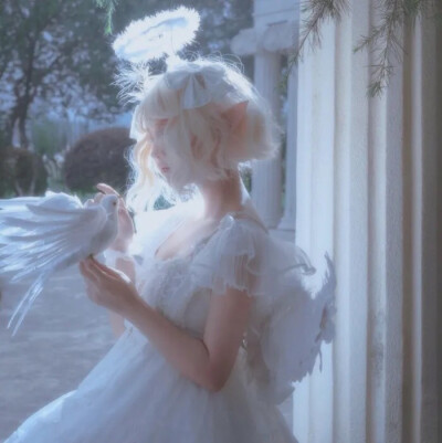 仙气女头✨
by：忘霁_