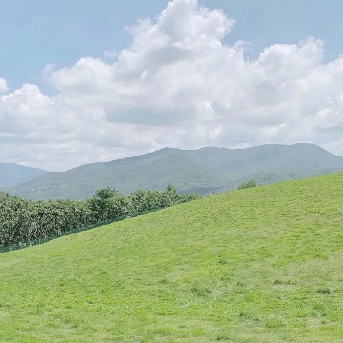 壁纸 草原 ins 蓝天 山