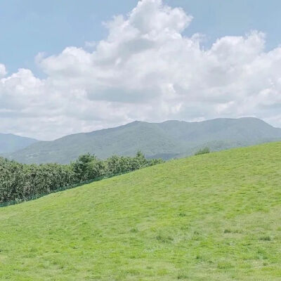 壁纸 草原 ins 蓝天 山