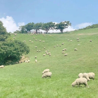 壁纸 草原 ins 蓝天 山