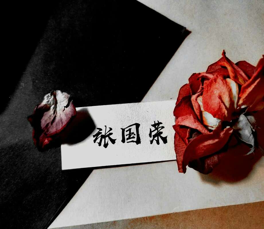 干花·玫瑰·原创[底图不是]
王俊凯/王源/易烊千玺/薛之谦/毛不易/张国荣/华晨宇/蔡徐坤/王一博/