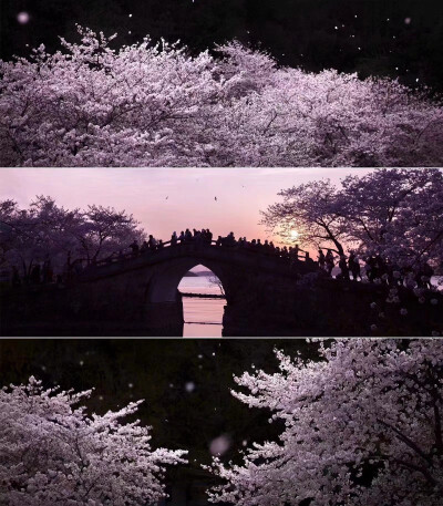 ins风背景图 微信朋友圈背景图 QQ空间背景图
（cr:子夜鸟PHOTO 侵权即删，致歉~搬运）