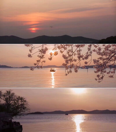 ins风背景图 微信朋友圈背景图 QQ空间背景图
（cr:子夜鸟PHOTO 侵权即删，致歉~搬运）