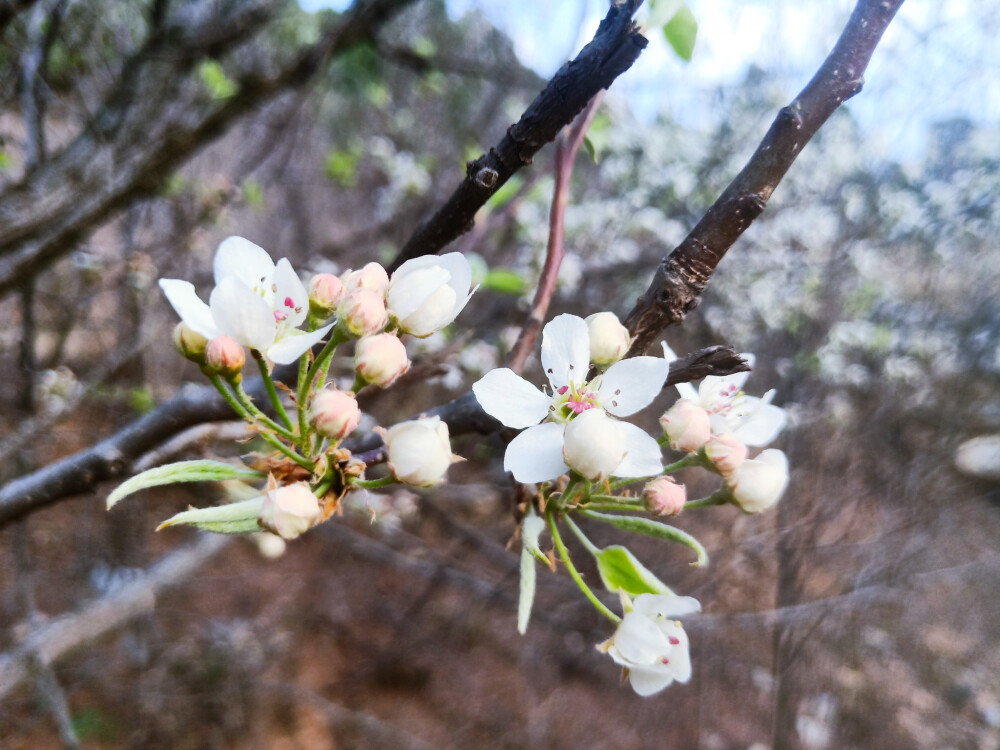 这是省城后花园呀