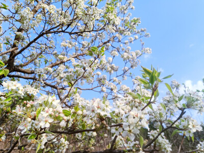 这是省城后花园呀