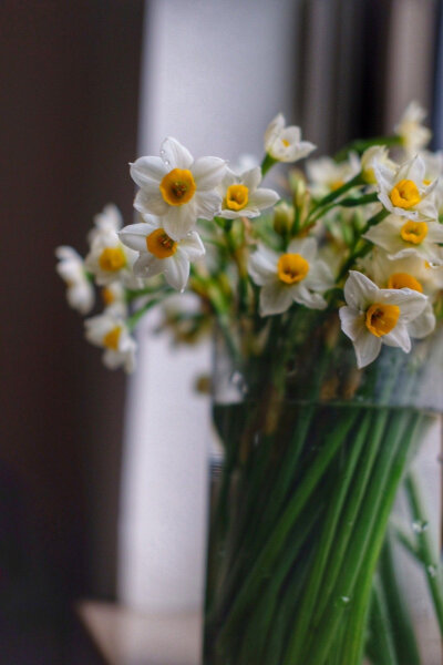 水仙花