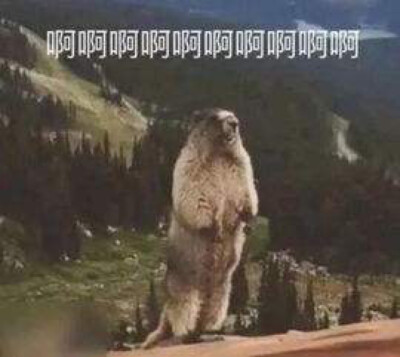 淡黄的长裙，蓬松的头发。
淡黄的长裙，蓬松的头发。