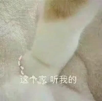 可爱猫咪表情包(ˊ˘ˋ*)♡
不要在意第一张的熊猫[威胁
熊猫也是猫（强行解释）
不点赞就会被我揍成图三(♯｀∧´)
不要给我说话我是一个冷漠的杀手，我，木的感情
二转注明