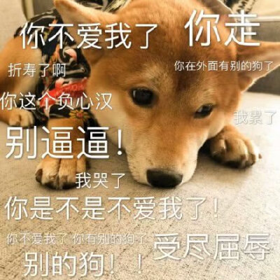 可以发给你对象哦