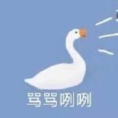 小白鹅表情包