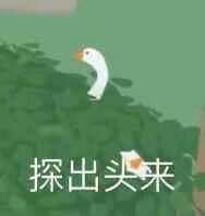小白鹅表情包