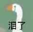 小白鹅表情包