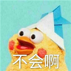 脆皮鹦鹉