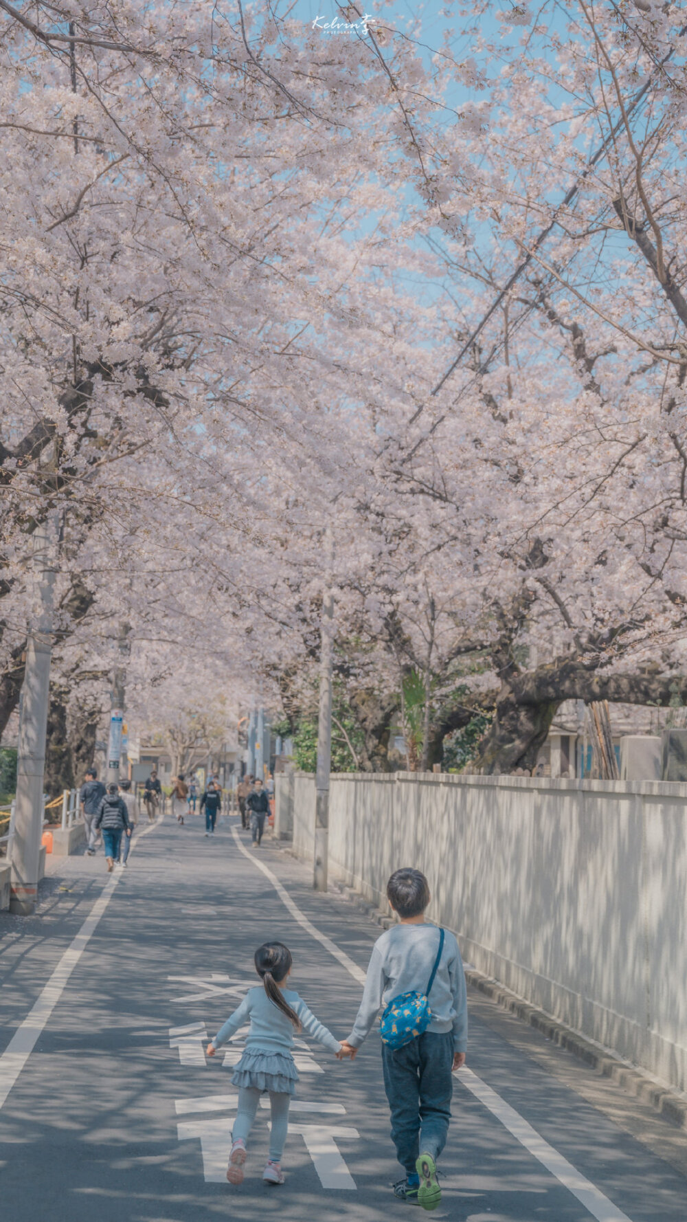 -永远喜欢童话与樱花
微博:kelvin李