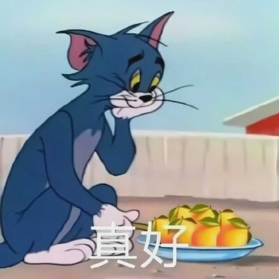 猫和老鼠，汤姆，表情包