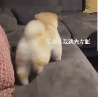 表情包
