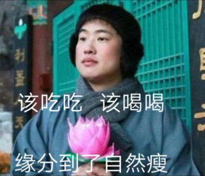 表情包