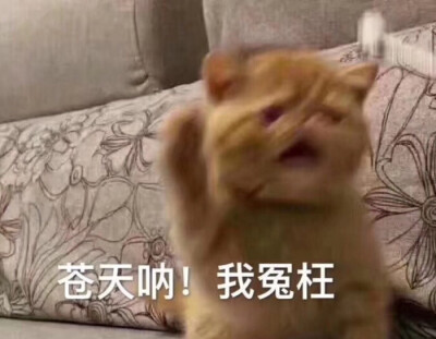 表情包