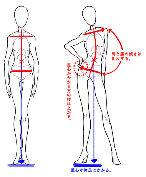 身材比例素材