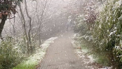 三月飘雪