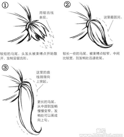 头发教程