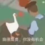 鸭子表情包/鹅 