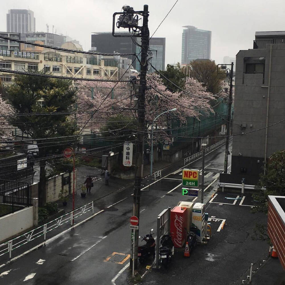 Tokyo/
背景图/