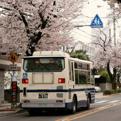 Tokyo/
背景图/