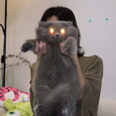 女生头像
喜欢关注 dt小何在吗
源林奕然