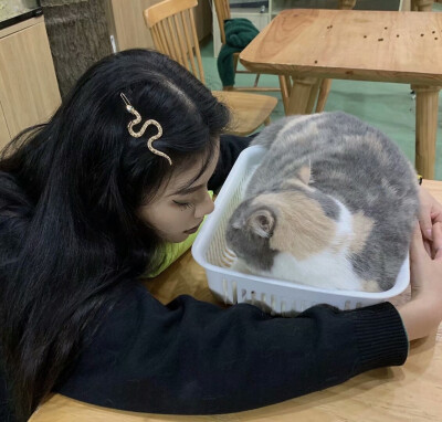 女生头像
喜欢关注 dt小何在吗
源林奕然