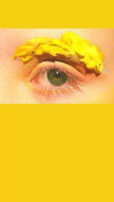 黄色 背景 壁纸