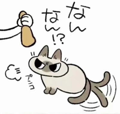 今日份猫猫表情包
作者推特@yamanobejin