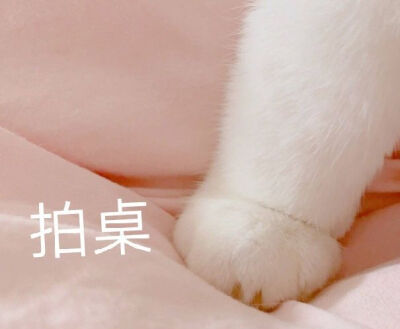 群里存的