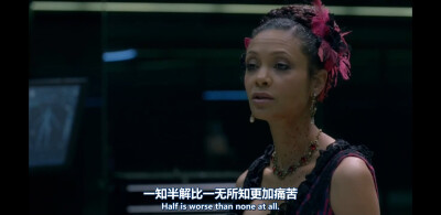 【西部世界第一季】Westworld/生活/爱情/文字/句子/经典台词/截图（自制截图，禁止下载后二次编辑上传！）