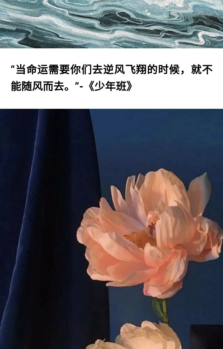 “你喜欢什么颜色？”——酸辣粉